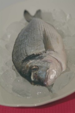 鯛魚從希臘烹飪前的準(zhǔn)備