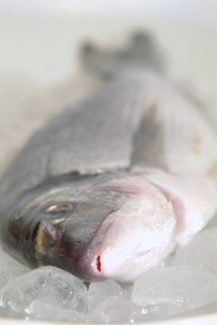 鯛魚從希臘烹飪前的準(zhǔn)備