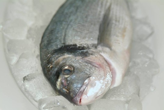 鯛魚(yú)從希臘烹飪前的準(zhǔn)備