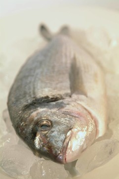 鯛魚從希臘烹飪前的準備