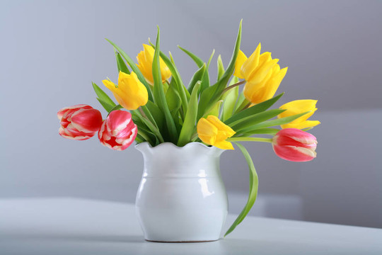 郁金香花瓶
