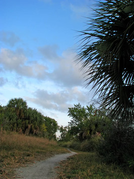 景觀Wildlife Refuge