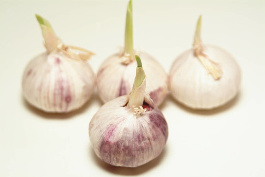 大蒜