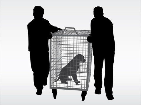狗捕手
