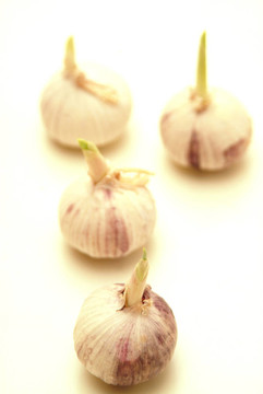 大蒜