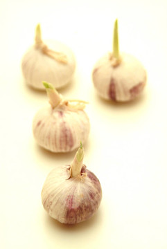 大蒜
