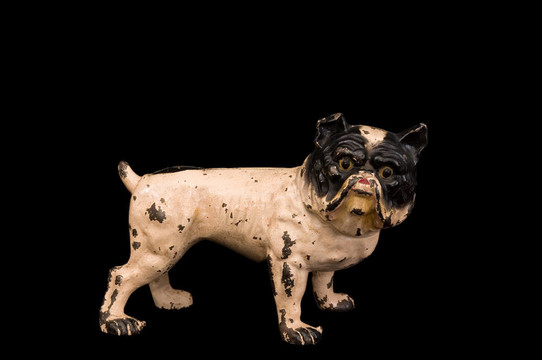 維多利亞斗牛犬看家
