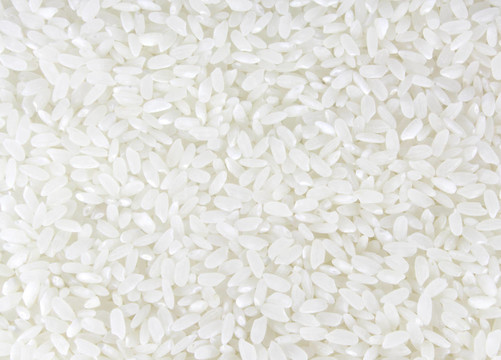 White Rice全背景