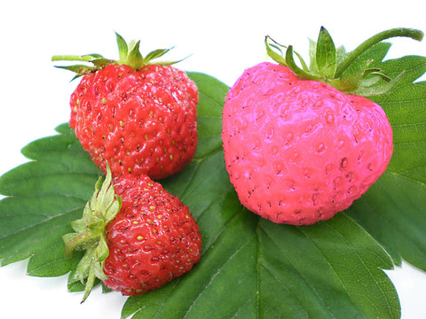 獨(dú)特的草莓