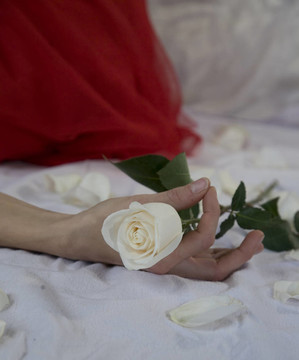 女人與White Rose的手