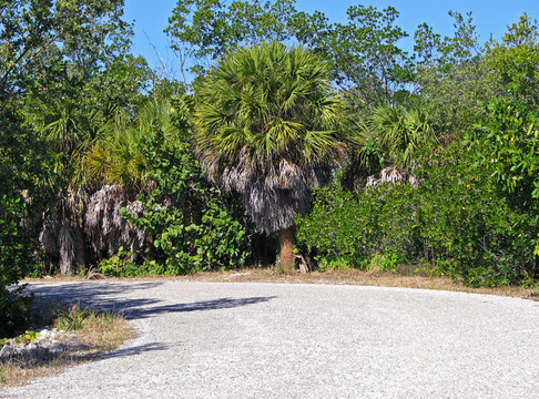 景觀Wildlife Refuge