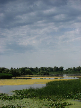在Sulina Chanel河三角洲