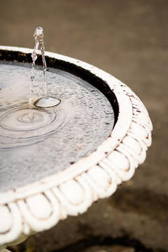 老waterfountain