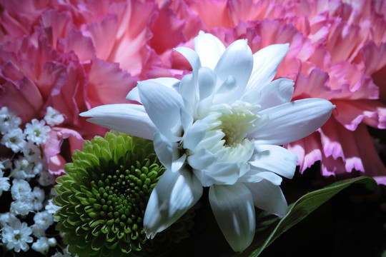 Flowers的背景