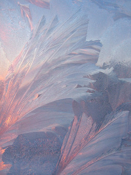 Frost和太陽背景