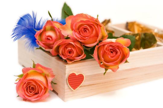 白色在白色的玫瑰。