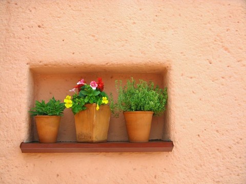 橙色墙和花