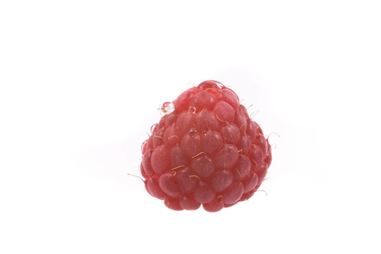 覆盆子
