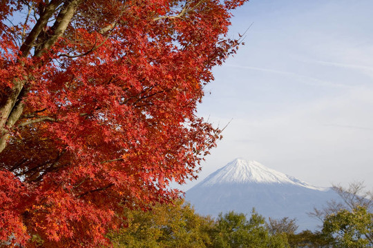 富士山的秋天十二
