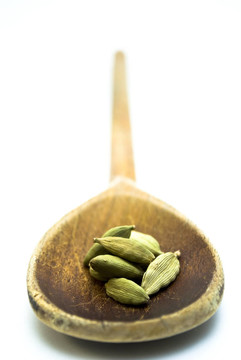 在一個(gè)綠色的小豆蔻