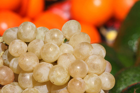 grappes