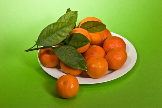 Tangerine夜店