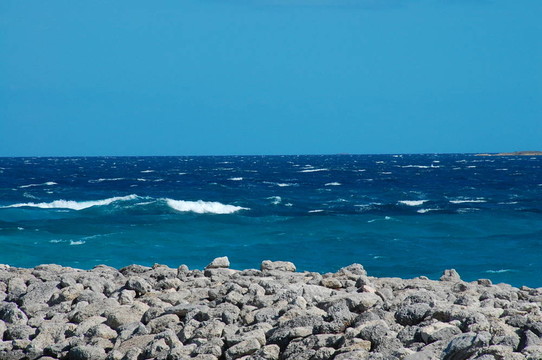 海洋鋒