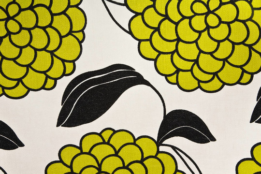 彩色葡萄和葉棉織物綠色