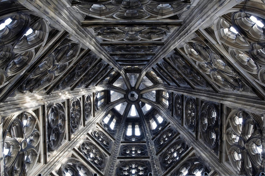 Dom在Cologne