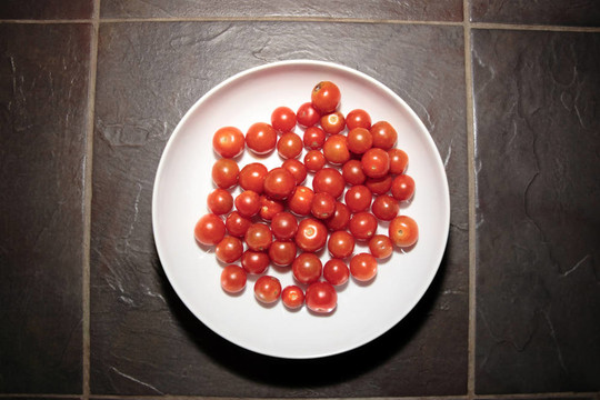 一碗西紅柿2