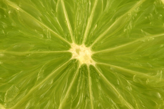 孤立的酸橙片