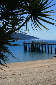 在一個島上，Jetty