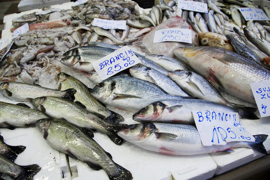 在克羅地亞市場魚