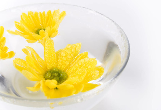 黃色的花接近