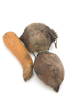 煮熟的甜菜和carrot