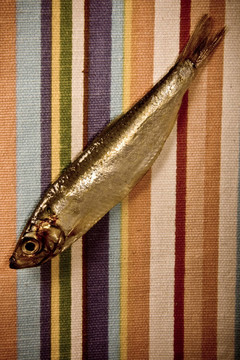 魚(yú)