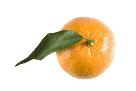 橙色的Tangerine夜店與葉