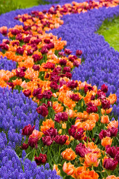 flowerpath