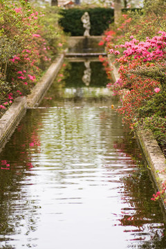 正式花園中的池塘