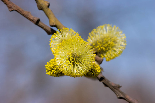 春暖花開的季節(jié)