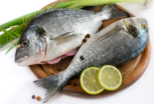 新鮮的魚