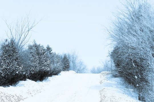 冬天的雪