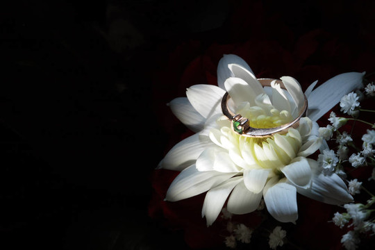 環(huán)上的花