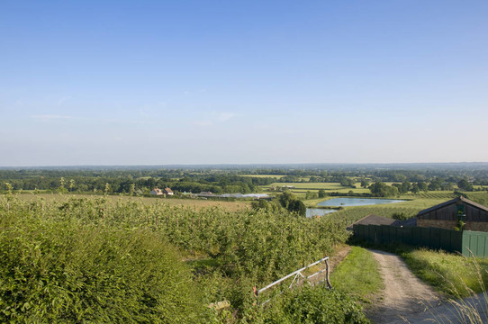 農(nóng)村場(chǎng)景