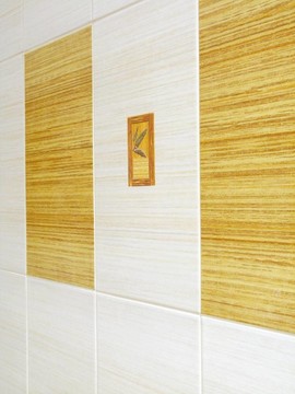 詳細(xì)的瓷磚