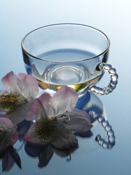 杜鵑花和玻璃罐