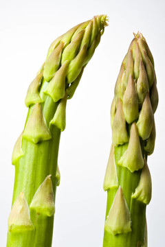 新鮮綠色的詳細(xì)說(shuō)明
