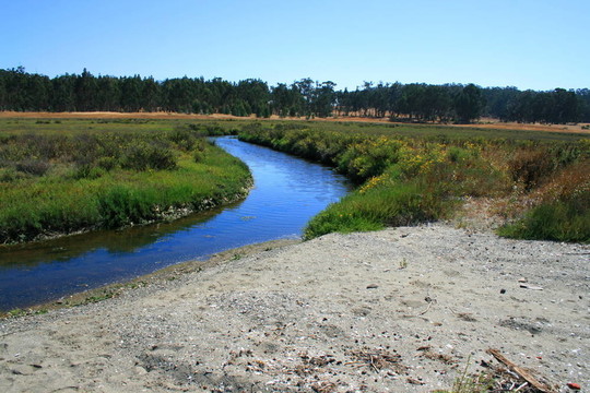 河