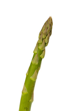蘆筍