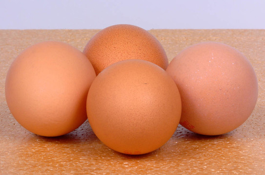 雞蛋